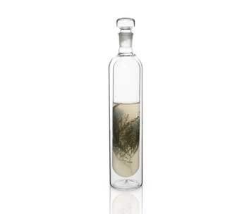 Botella Termo 750