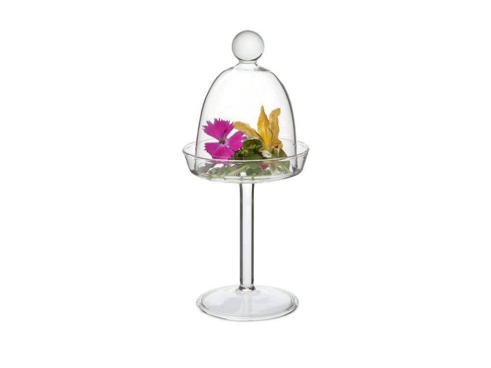 Campana Mini con Plato y Base