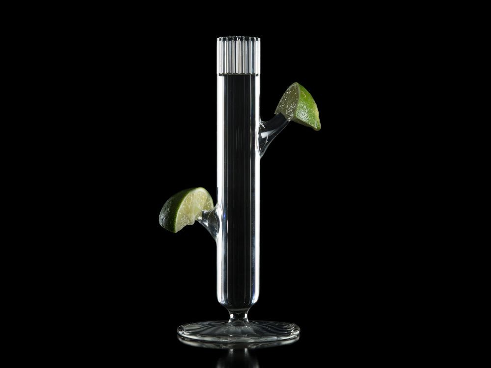 Vaso Cactus XS