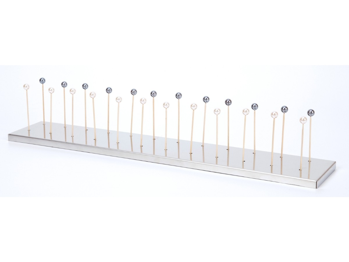 Soporte Inox 24 Brochetas (incluye foam)