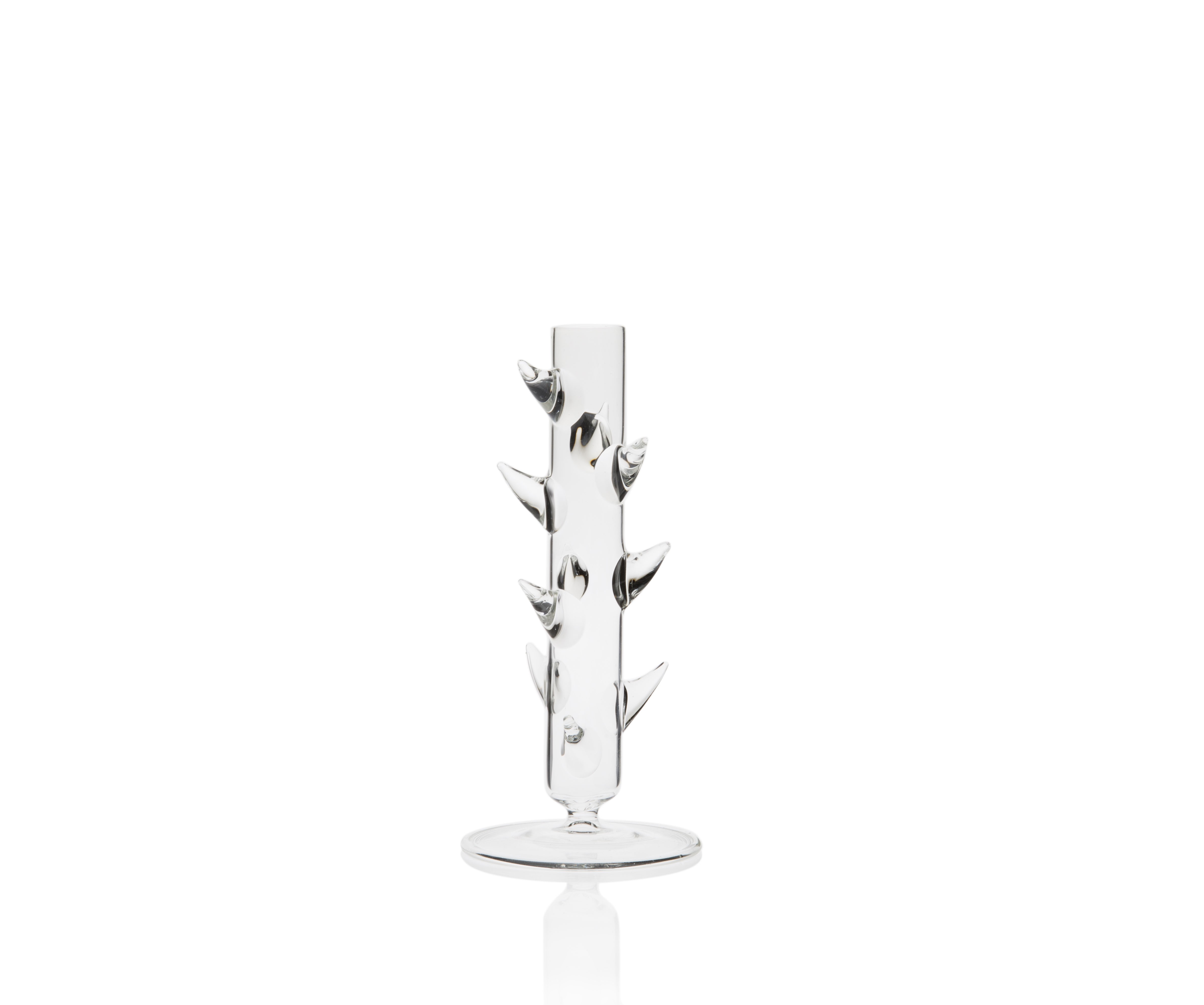 Vaso Blackberry STEM XL