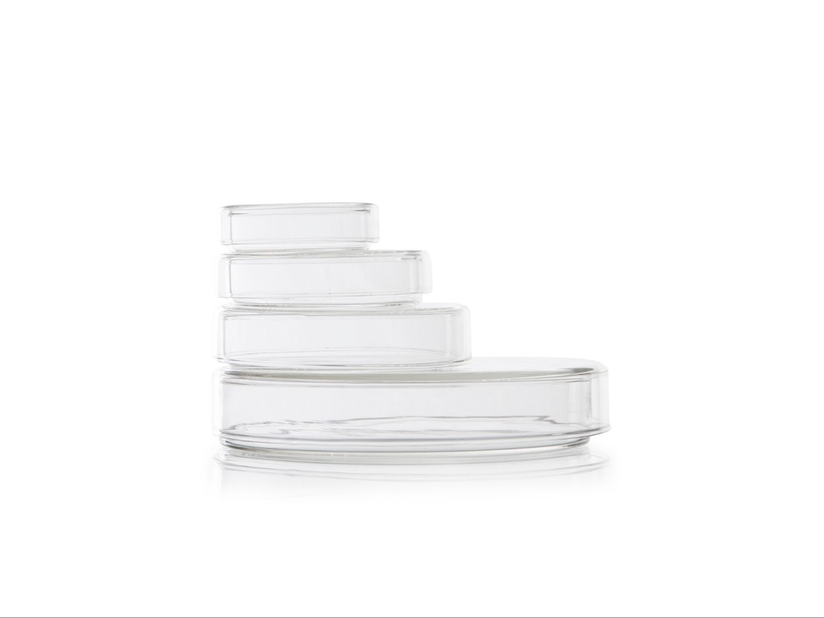Petri 8 cm