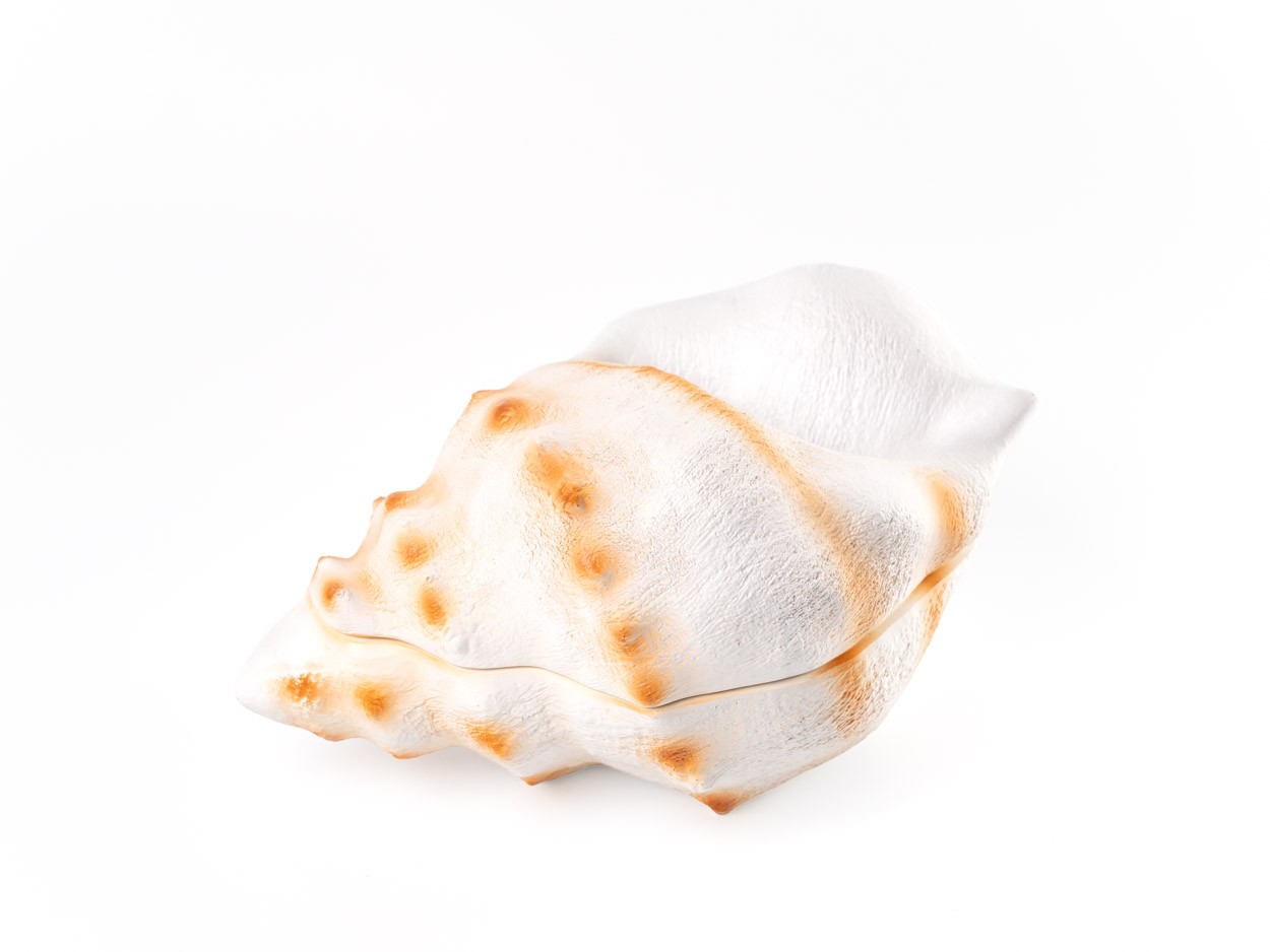 Plato Bowl Seashell