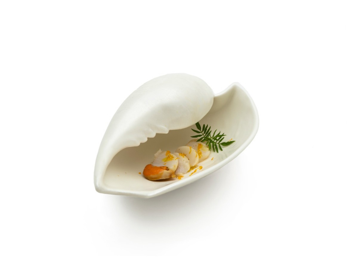 Plato Caracola