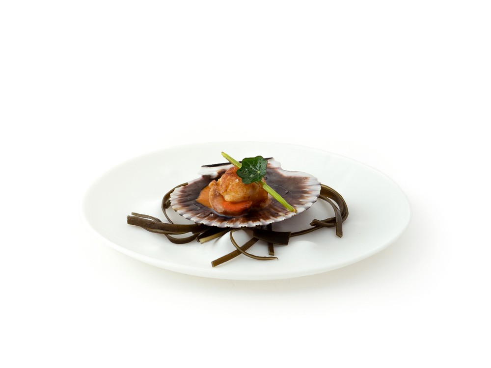 Plato Boiling Blanco XS