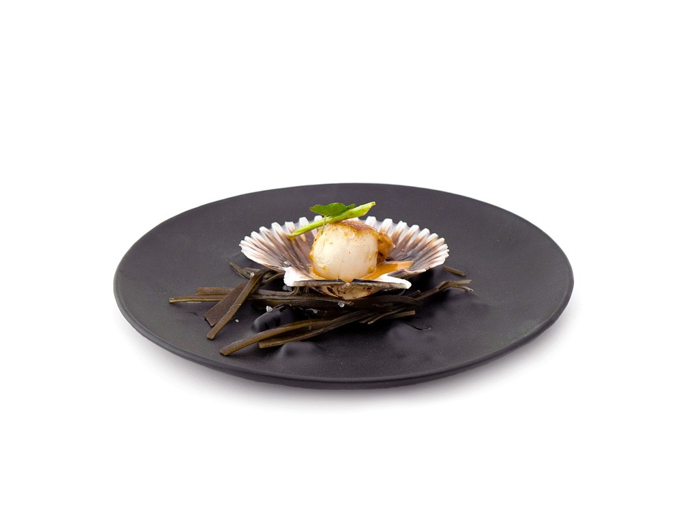 Plato Boiling Negro XS