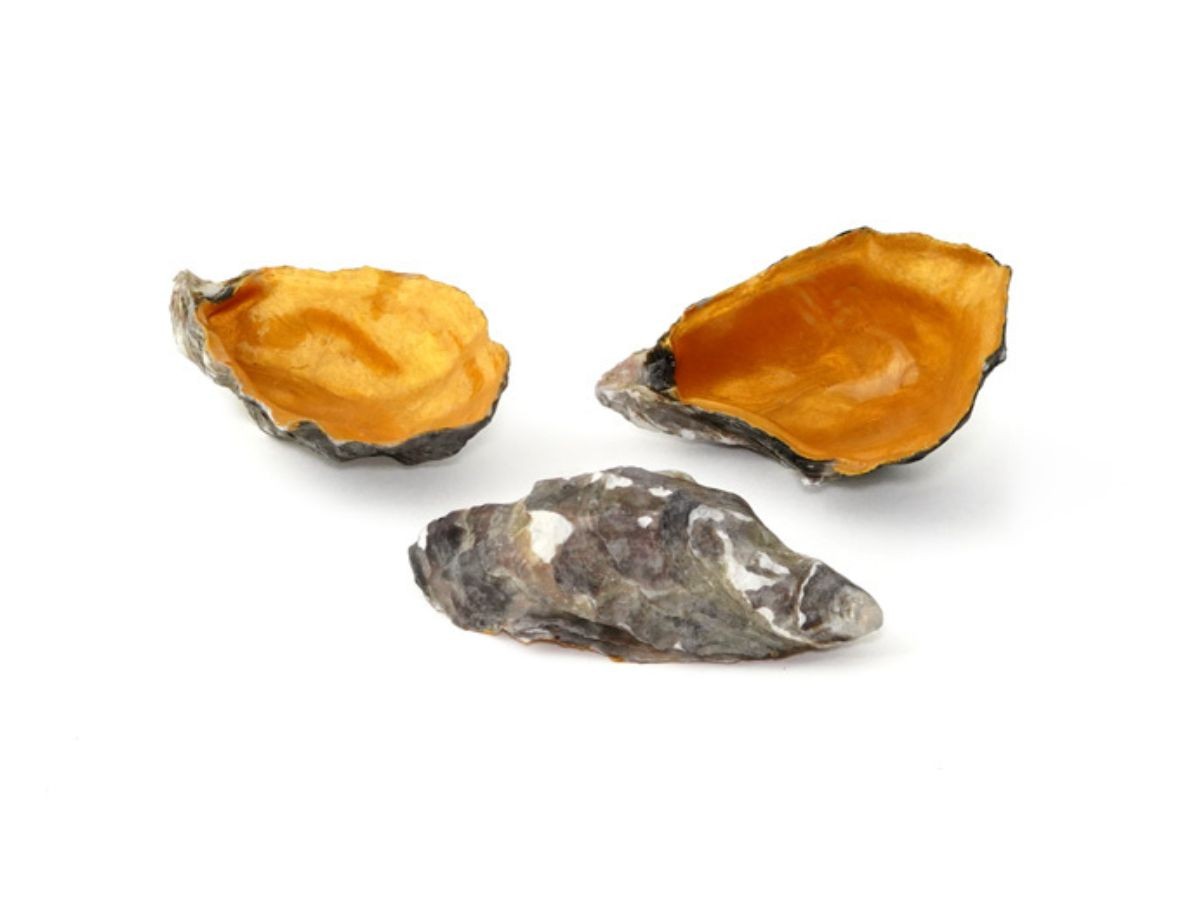 Oyster Gold 3 uds