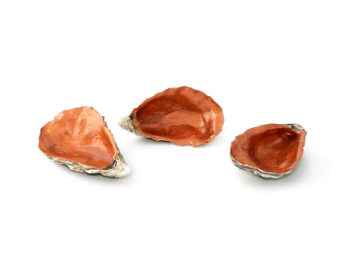 Oyster Copper 3 uds