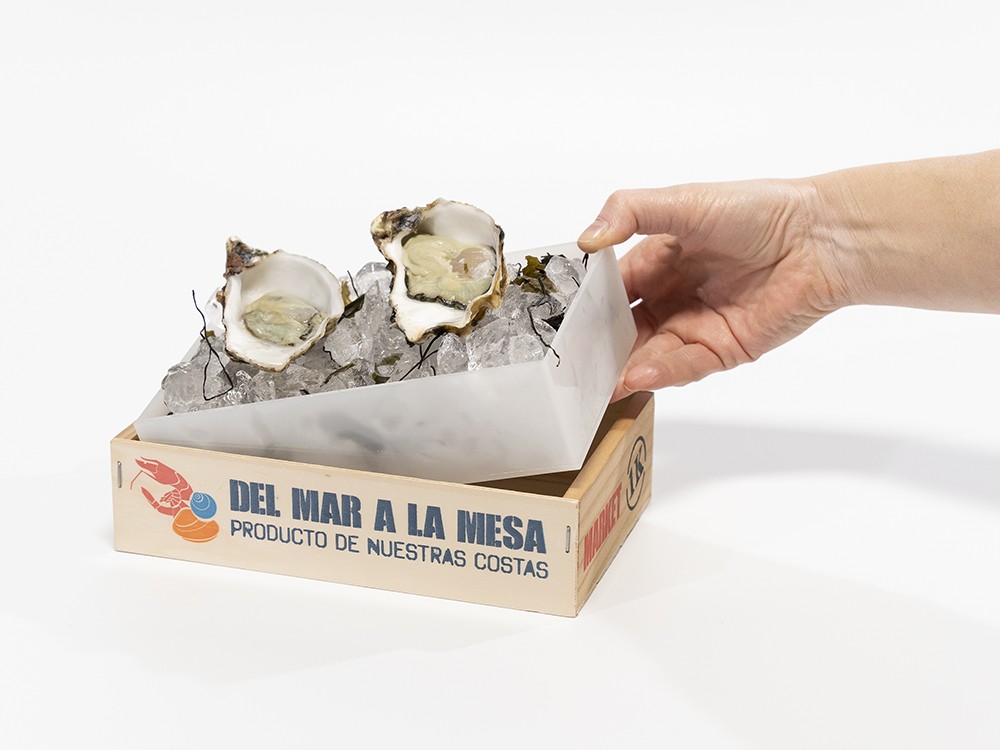 Caja Metacrilato Marisco