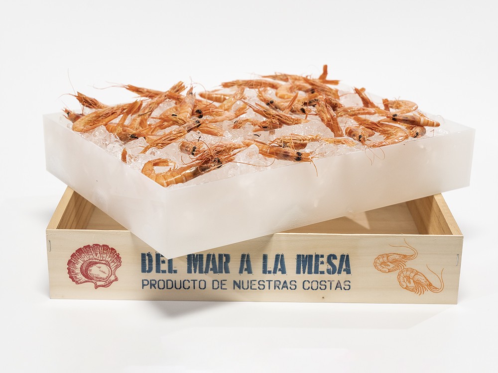Caja Metacrilato Marisco 3 kg