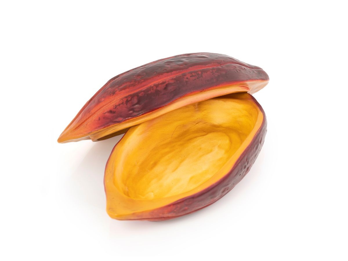 Baya De Cacao