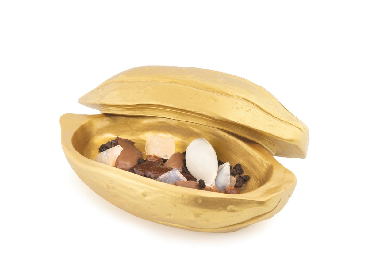 Baya Cacao Oro Resina