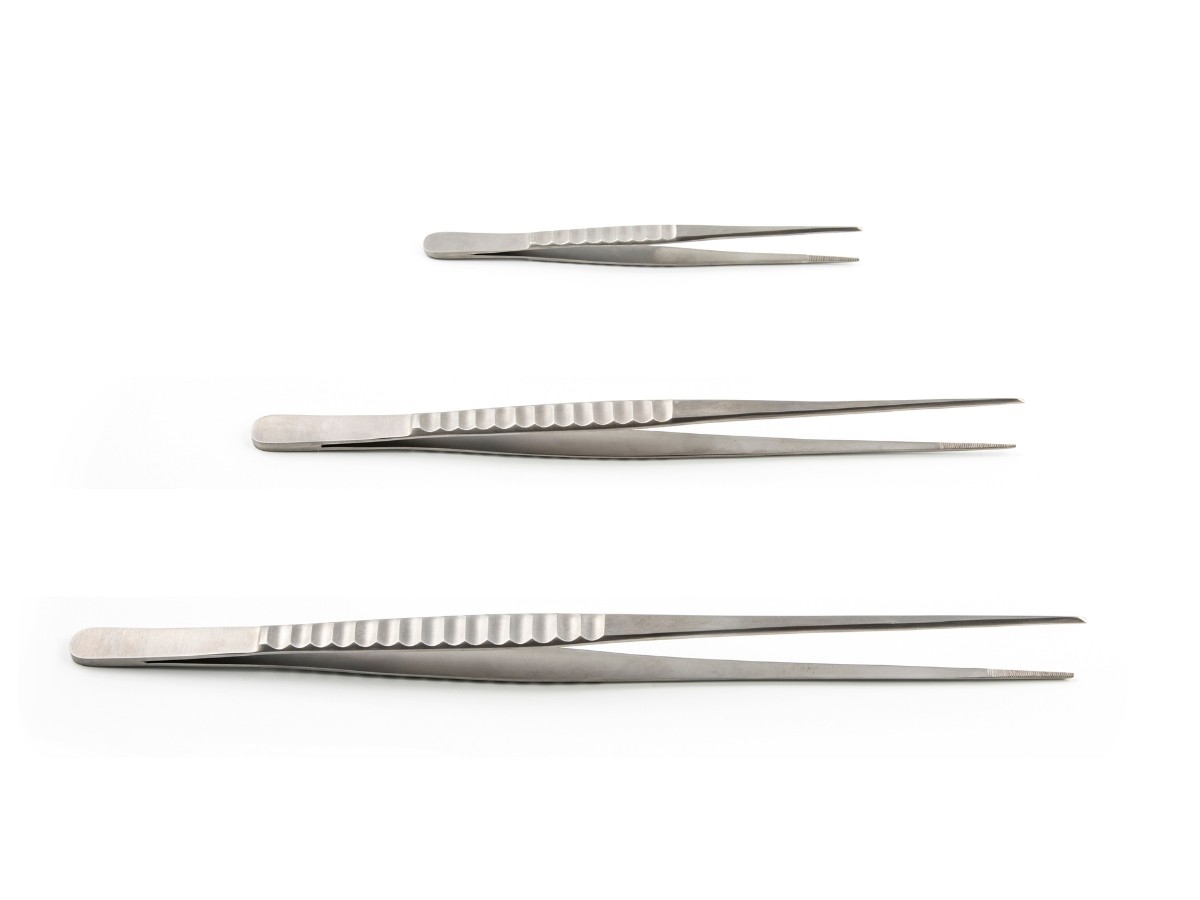 Pinza Recta Elite 16 cm
