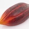Baya De Cacao