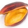 Baya De Cacao