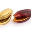 Baya De Cacao