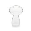 Boletus Glass