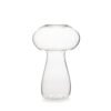 Boletus Glass