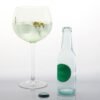 Botella GinTonic