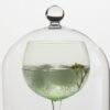 Campana Cocktail