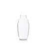 Cocktail Shaker Glass