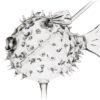 Copa Fugu
