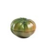 Bol Tomate Verde
