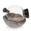 Infusion Bowl