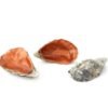 Oyster Copper - 3 uds.