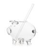 Piggy Bank Glass
