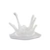 Platillo Milk Splash