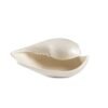 Plato Caracola