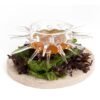 Plato Erizo