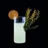 Skewer Glass