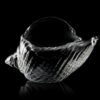 Vaso Caracol de Mar