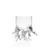 Vaso Mini Coral Reef 2 uds