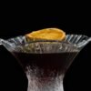 Vaso Lactarius