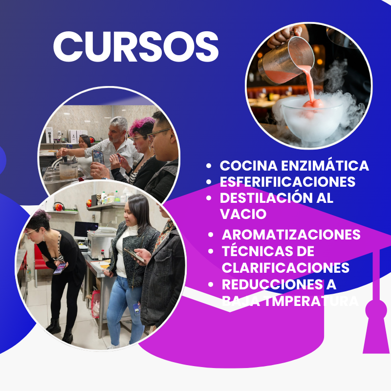 CURSOS TÉCNICAS DE COCINA MODERNA