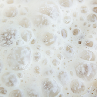 fermentadoras para gastronomia MAQUINARIA COCINA Y MIXOLOGÍA